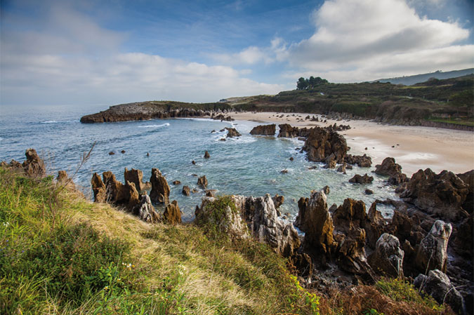 Playa toro